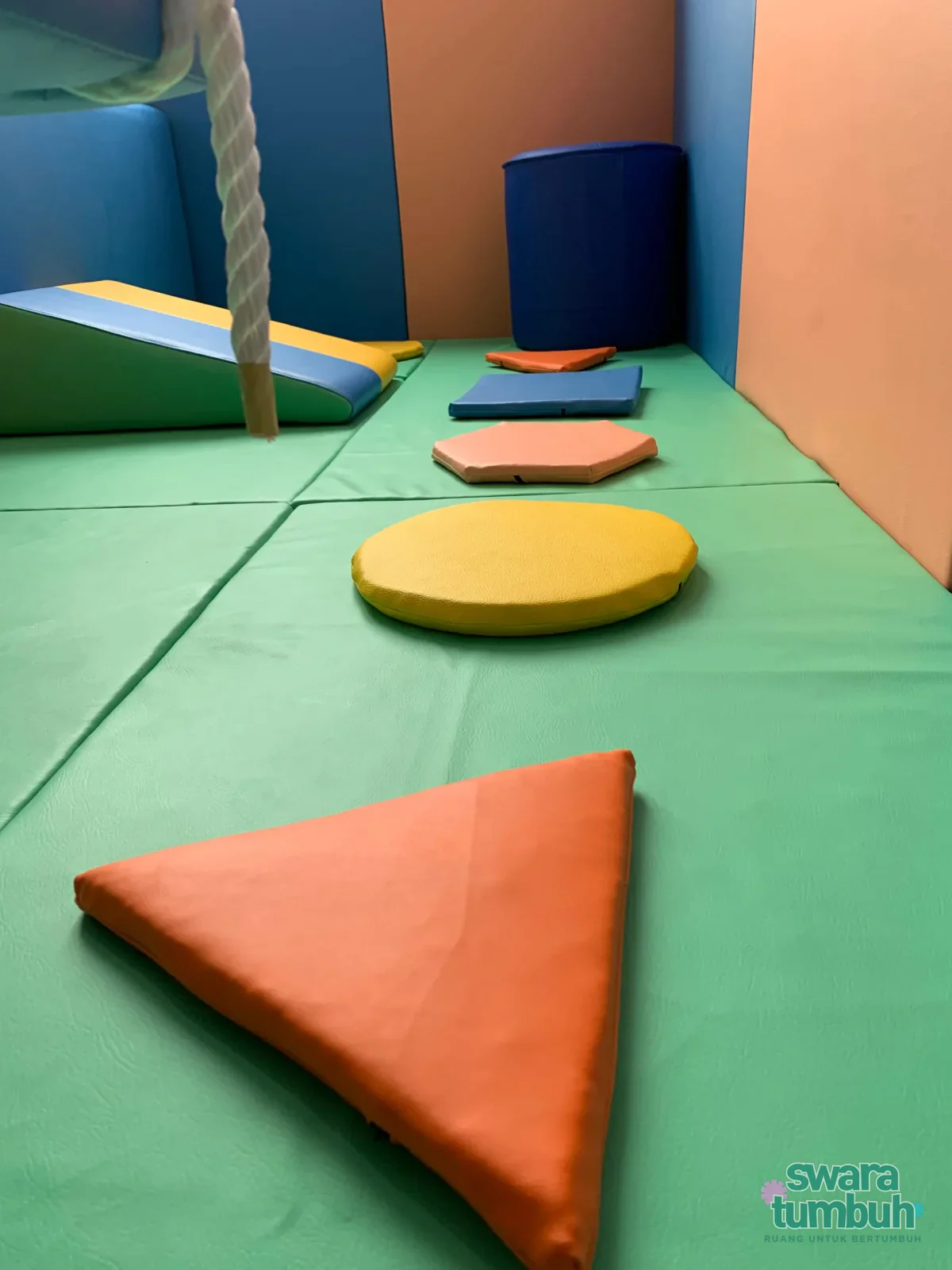 Enam step pad terapi anak dalam beragam bentuk dan warna